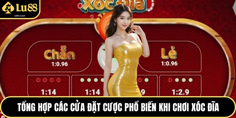 Tổng hợp các cửa đặt cược phổ biến khi chơi xóc đĩa